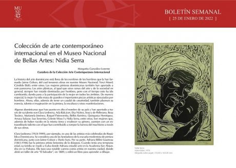 Colección de arte contemporáneo internacional en el Museo Nacional  de Bellas Artes: Nidia Serra