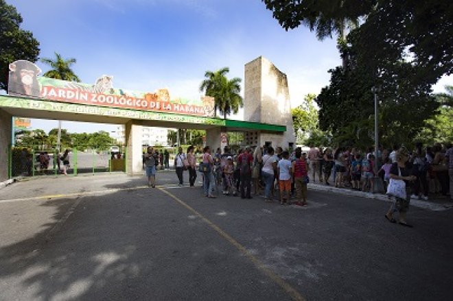 Taller de Verano en el Zoológico de 26