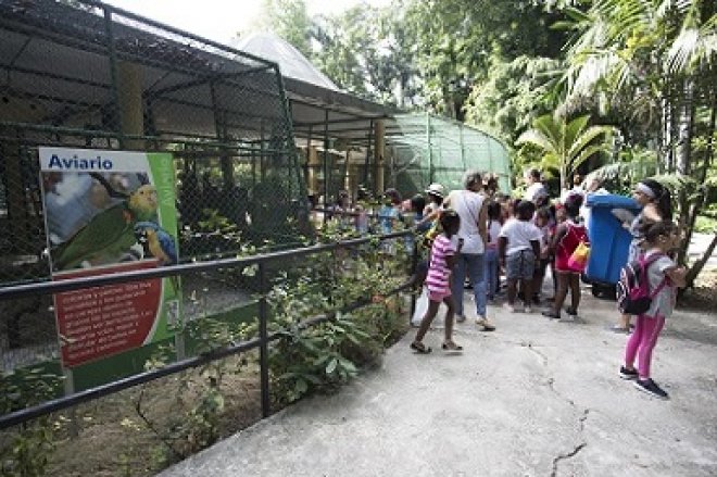 Taller de Verano en el Zoológico de 26