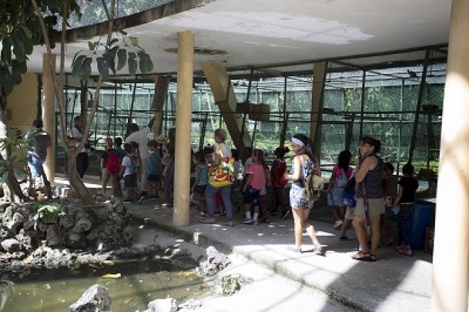 Taller de Verano en el Zoológico de 26