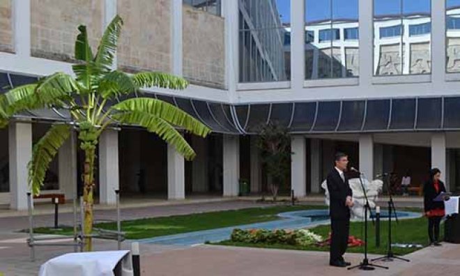 "Arte Floral" en Bellas Artes