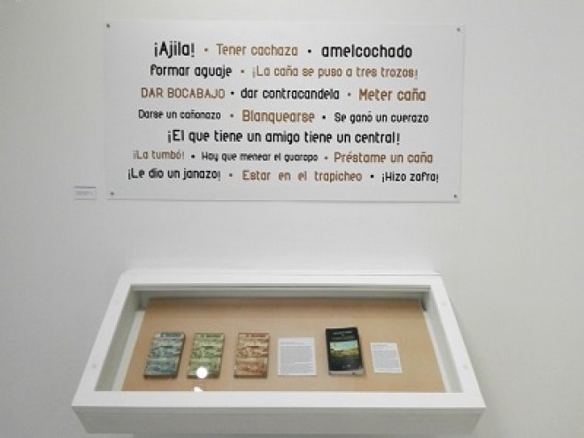Una isla de azúcar 
