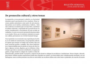 De promoción cultural y otros temas