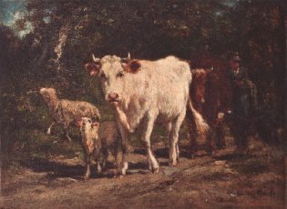 Vacas y carneros