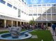 "Arte Floral" en Bellas Artes