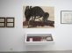 Repensando Cuba y la Cubanidad en el Museo Nacional de Bellas Artes