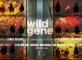 Proyección del Documental "Wild Gene"